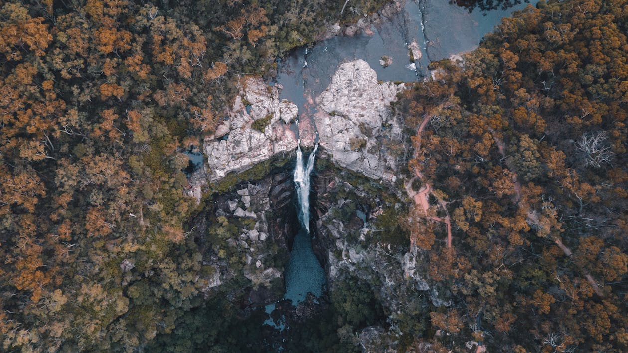 Imagine de stoc gratuită din cascadă, codru, curge