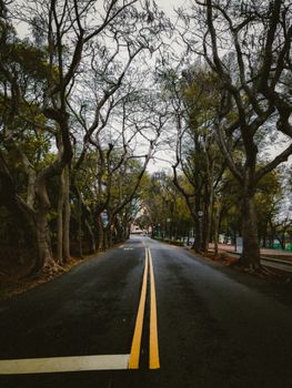 View of a Road