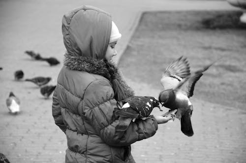 Person Wearing Jacket Feeding a Bird