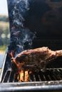 Grilled Meat on Charcoal Grill