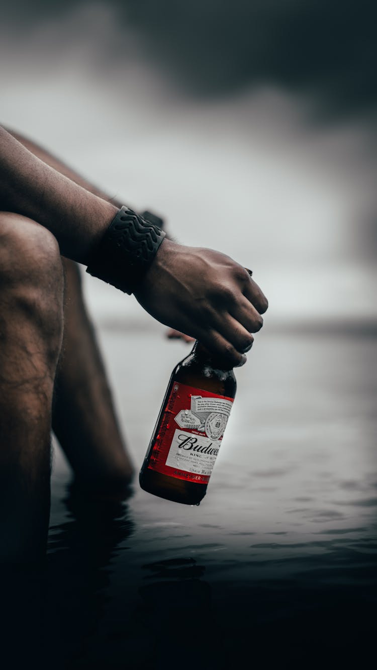 Person Holding A Budweiser Beer Bottle