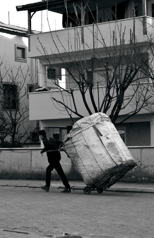 Imagine de stoc gratuită din alb-negru, fotografiere verticală, mers pe jos