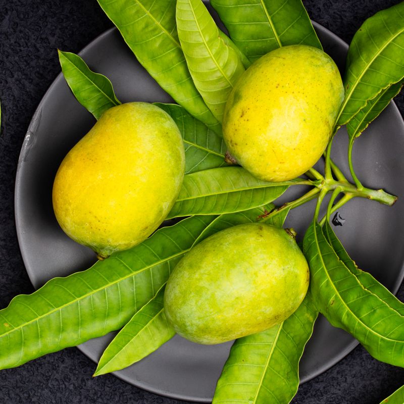 Indian Achaar Mango with Black Salt and Asafoetida