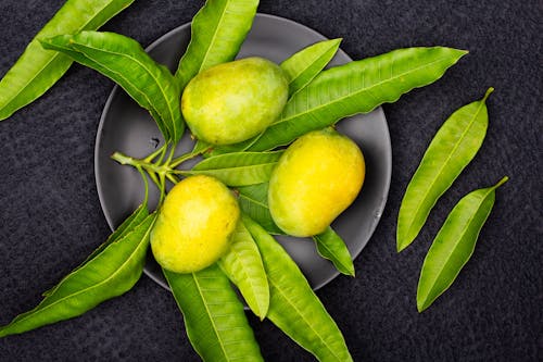 Mango Fruits with Green Leaves in Close Up Photography