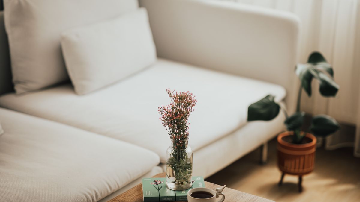 House Sweepstakes: Costs to Understand Before Accepting the Prize