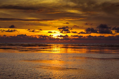 Scenic View of Beach during Sunset