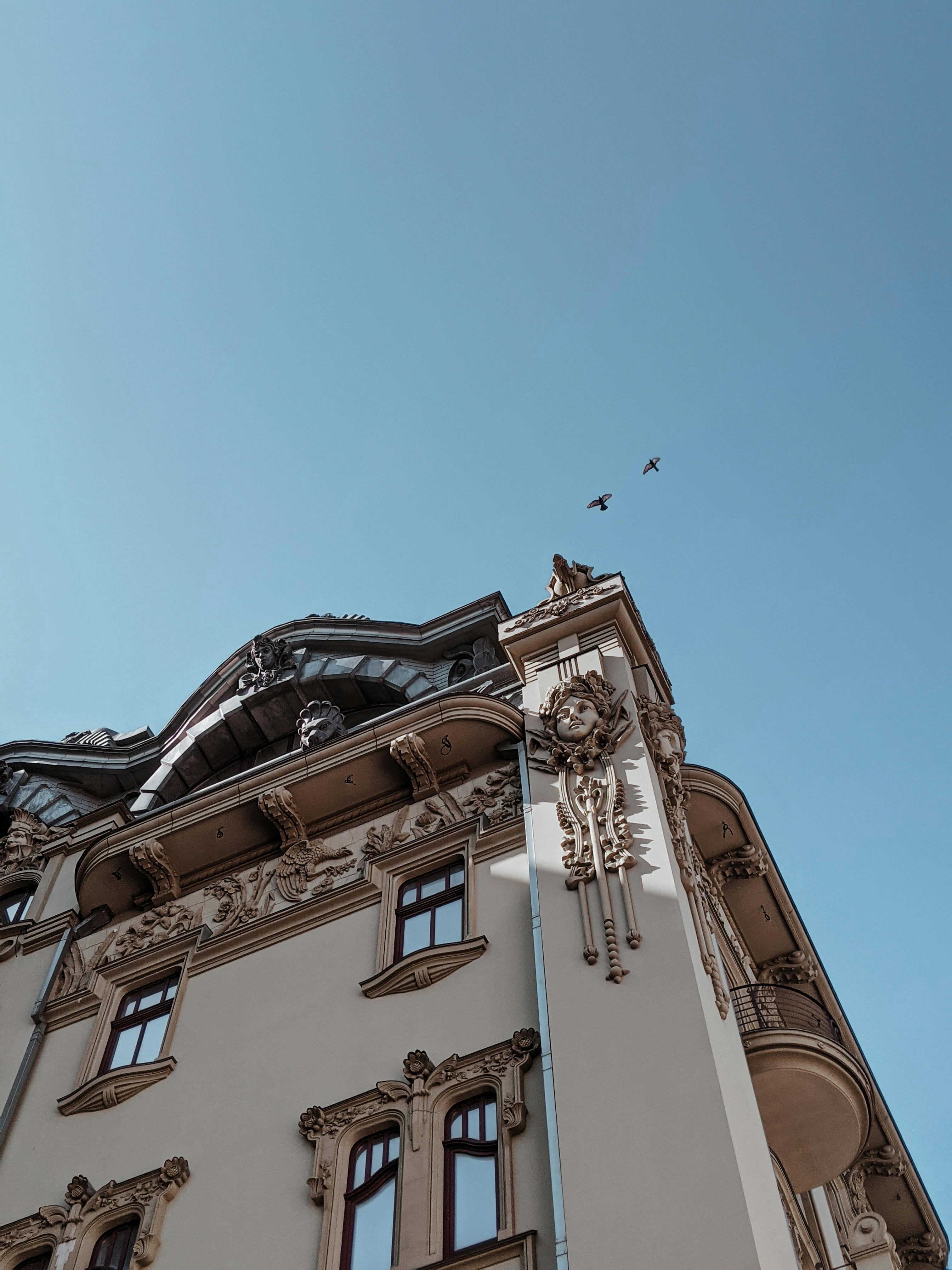 Low-angle view of an ornate historical building in Odesa, Ukraine, with birds flying overhead.