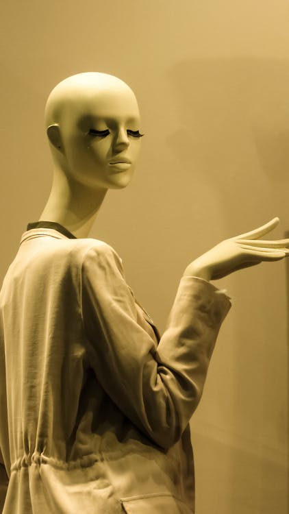 Head Of A Bald Mannequin With A Shirt On Stock Photo - Download Image Now -  Adult, Adults Only, Artificial - iStock