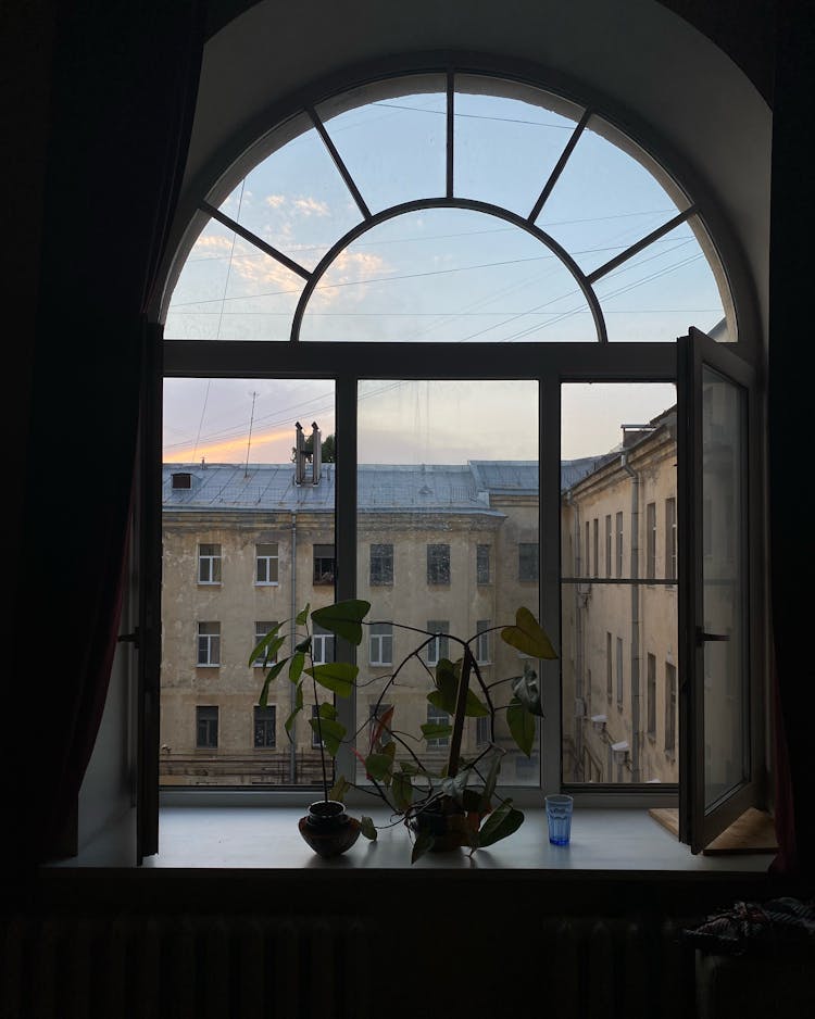 Indoor Plants On A Windowsill