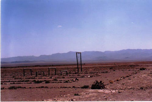 Gratis arkivbilde med kamel hvile sted, kanten av ørkenen, tørr