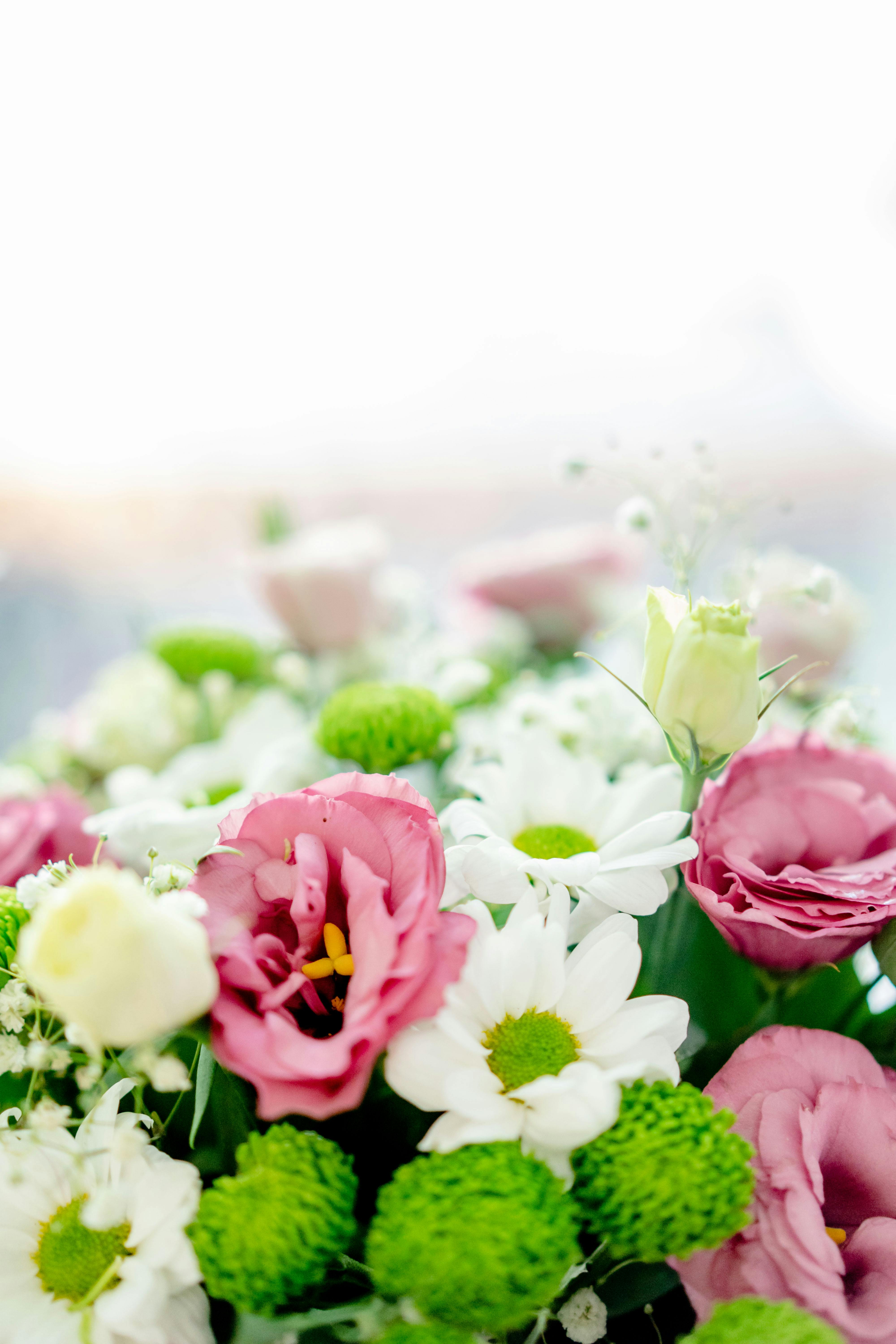 [ColoSach]-a-close-up-of-a-colorful-bouquet-with-pink,-white,-and-green-flowers-in-full-bloom.