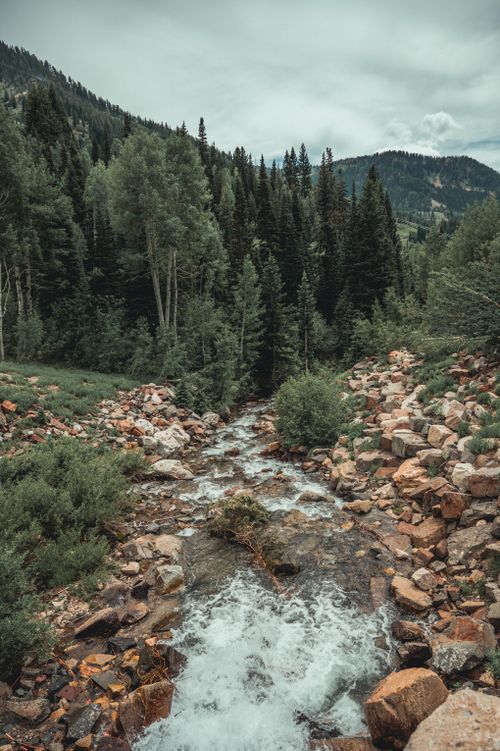 Free A serene and scenic view of a mountain stream flowing through a lush green forest landscape. Stock Photo