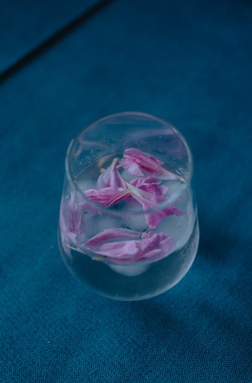 꽃잎, 물, 블루의 무료 스톡 사진