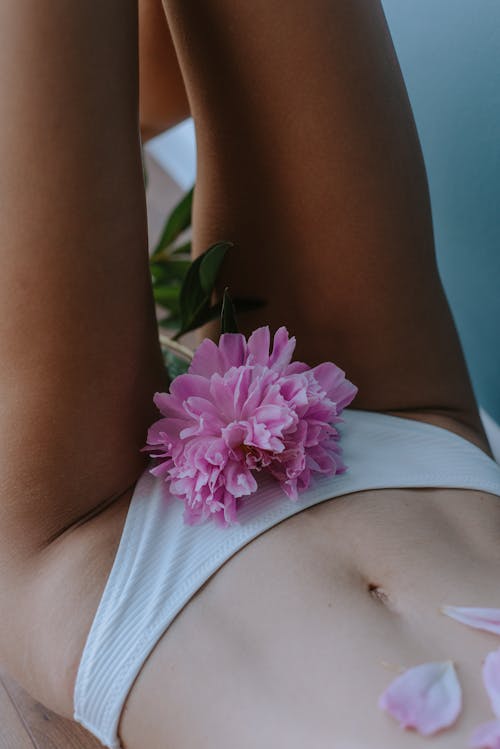 Free A Pink Flower and a Woman Stock Photo