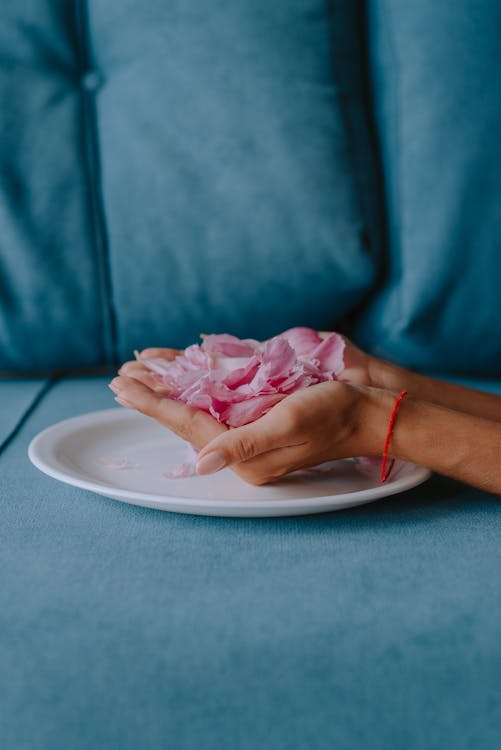 Free Hands Full of Pink Petals  Stock Photo