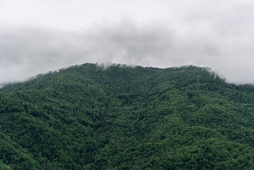 grátis Foto profissional grátis de árvores verdes, céu nublado, colina Foto profissional