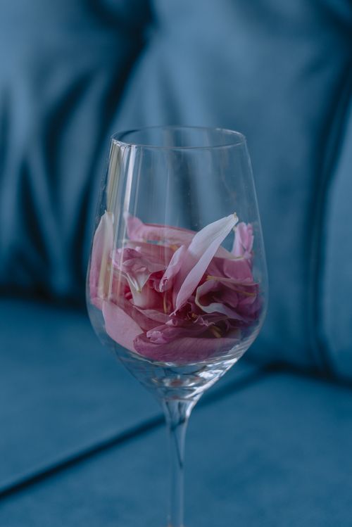 Free A close-up of a wine glass filled with soft, pink rose petals on a blue background. Stock Photo