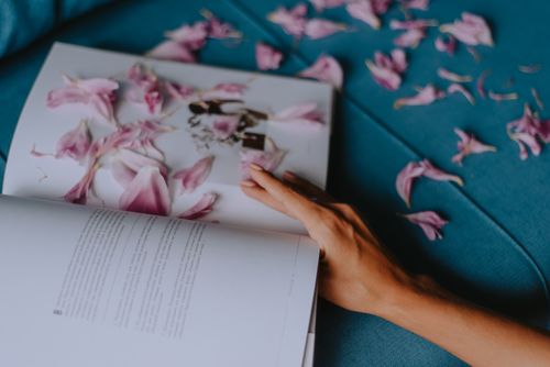 Free A hand holding an open book with pink petals scattered on the pages and fabric. Stock Photo