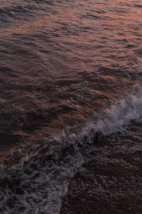akşam, dalgalar, deniz içeren Ücretsiz stok fotoğraf
