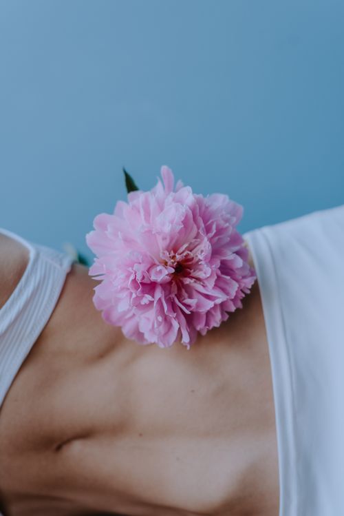 Free A close-up shot highlighting a vibrant pink peony placed on bare skin, exuding elegance and simplicity. Stock Photo