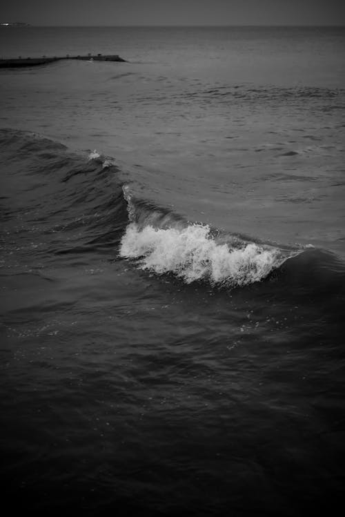 Free A Grayscale Photo of Sea Waves Stock Photo