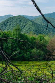 Serene landscape of green mountains and dense forest under a blue sky.