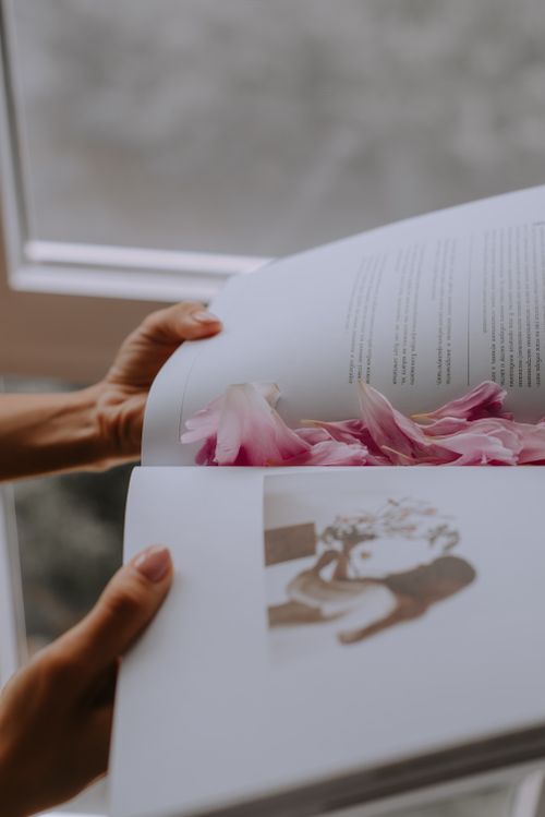 Free Close-up of hands holding an open book with pink petals placed inside near a window. Stock Photo