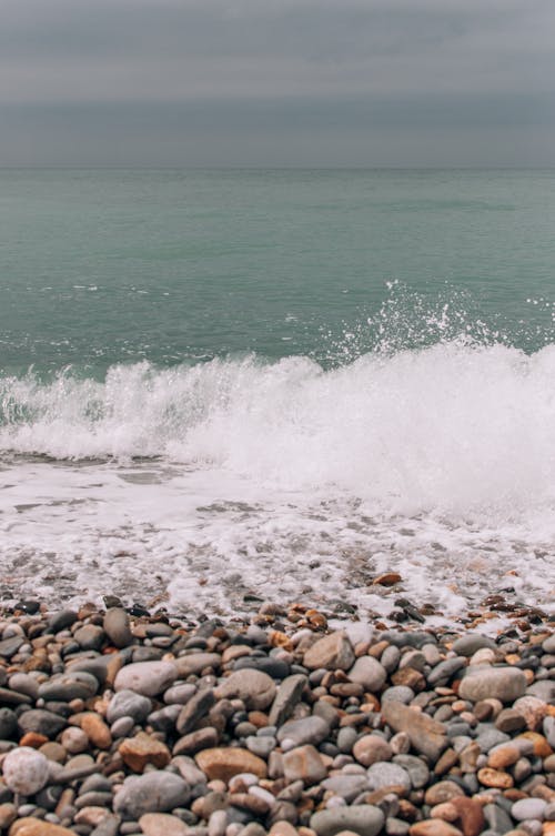 Fotos de stock gratuitas de decir adiós con la mano, línea costera, mar