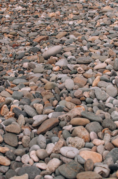 Cobblestones Covering the Ground