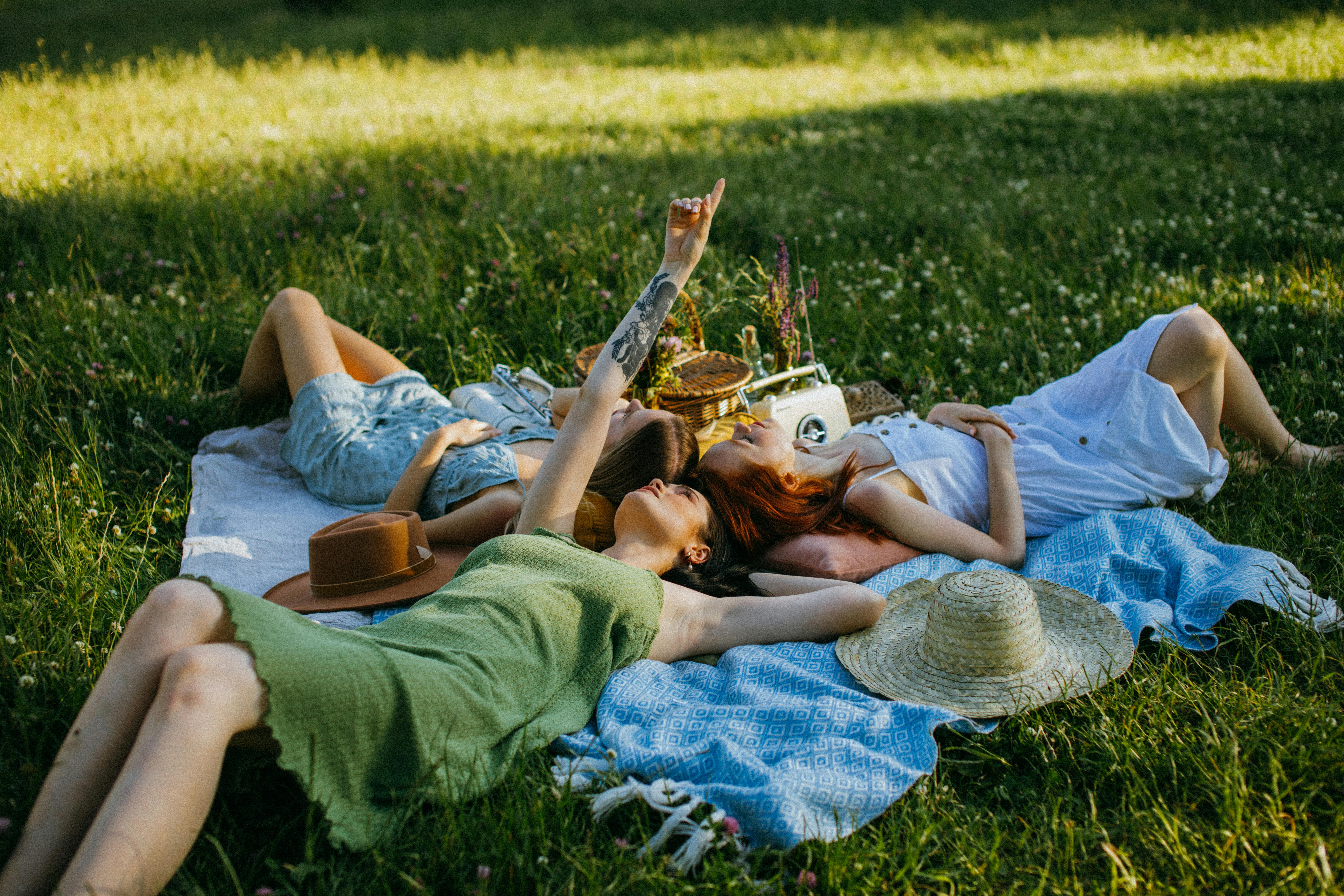 Friends hanging out, enjoying picnic - Stock Image - F020/2364 - Science  Photo Library