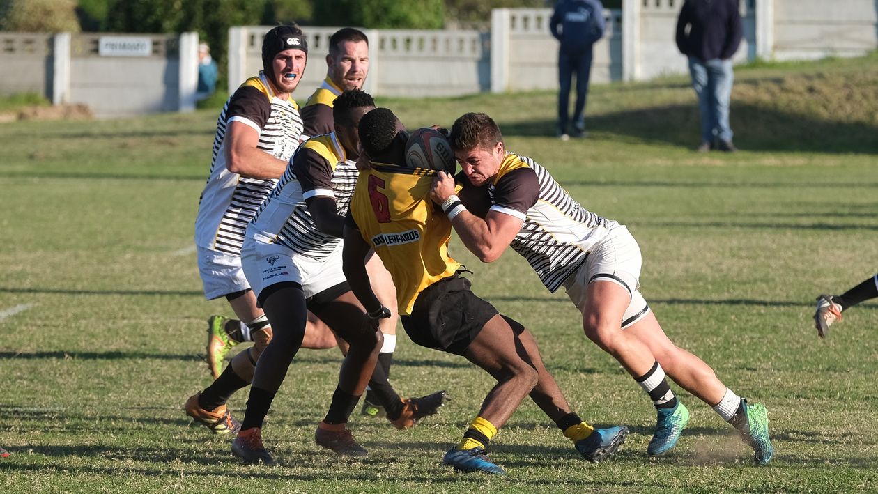 Men Playing Rugby · Free Stock Photo