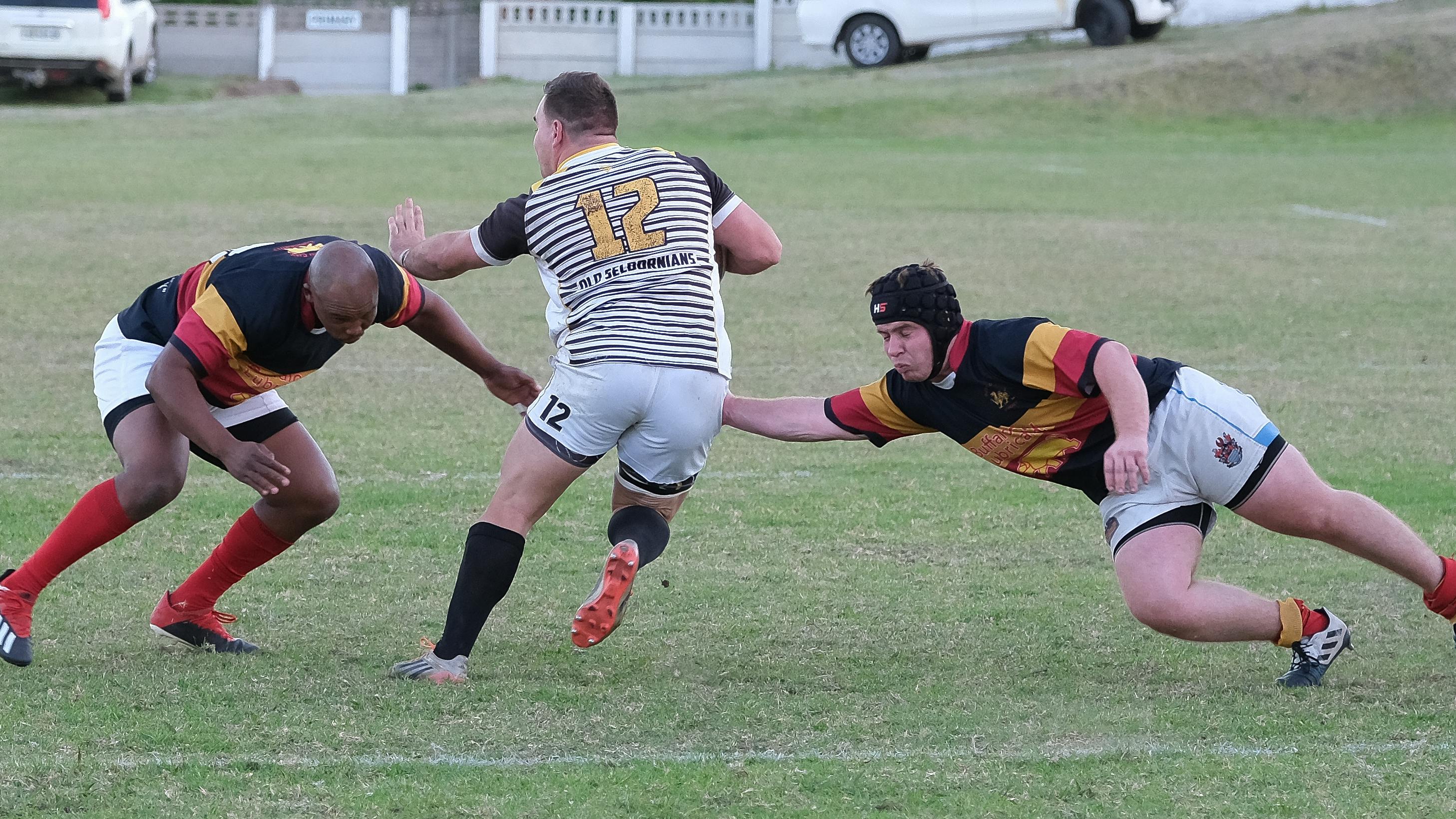 Is rugby a rich person sport?