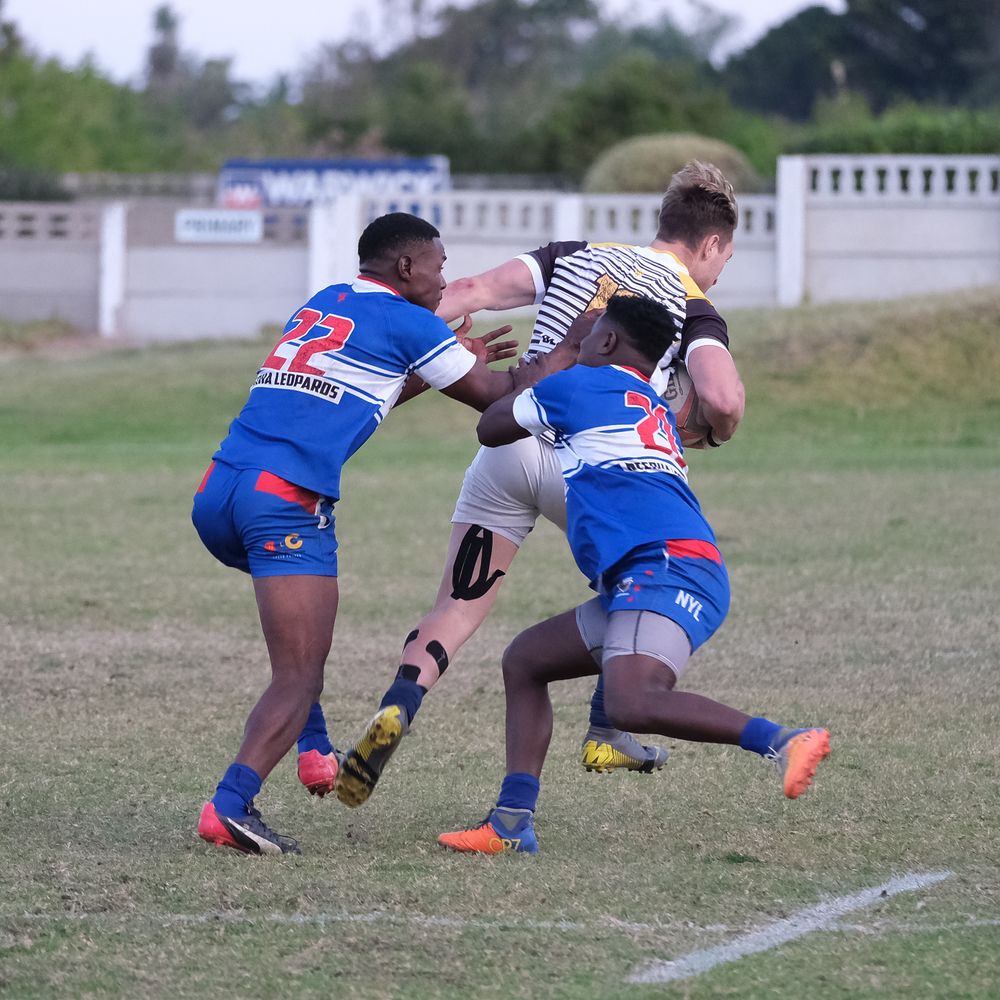 Rugby players in blue and white uniforms during an outdoor match