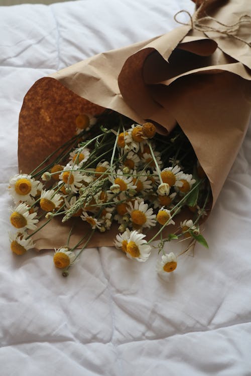 
A Bouquet of Chamomile Flowers