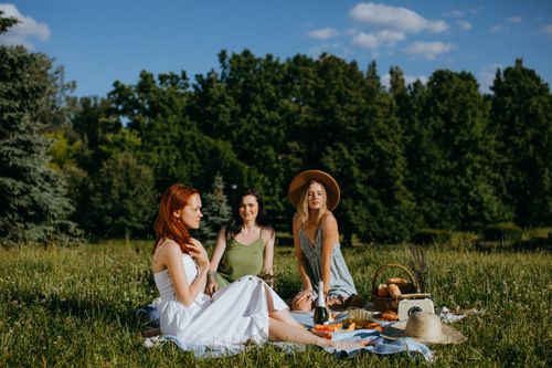 Free Three women enjoying a sunny picnic in a lush green park with food and wine. Stock Photo