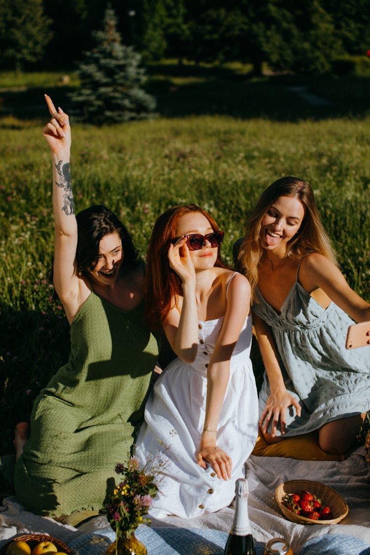 Women Having Groupie Shot In A Picnic