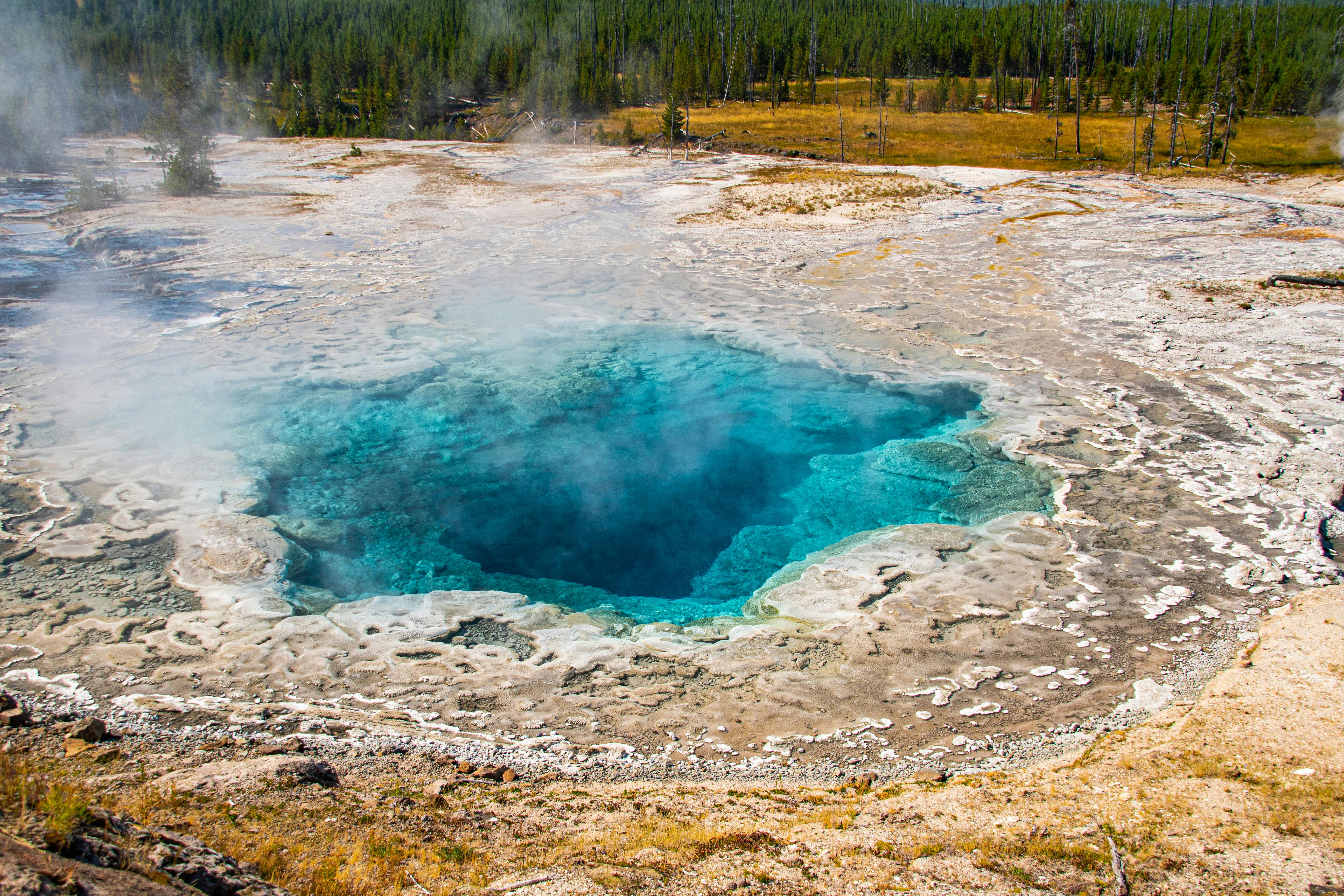 Gratis stockfoto met achtergrond, Amerika, artemisia geiser