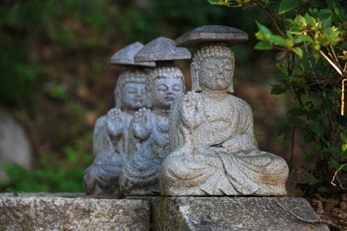 Foto profissional grátis de alinhados, ancião, Buda