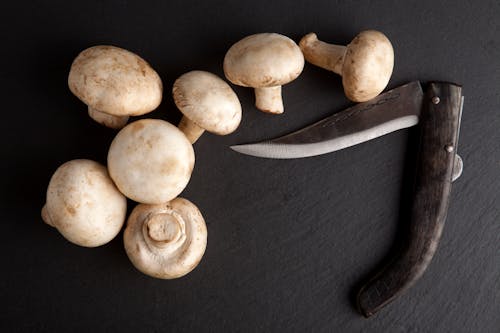 Gratis stockfoto met biologisch, bovenaanzicht, champignons