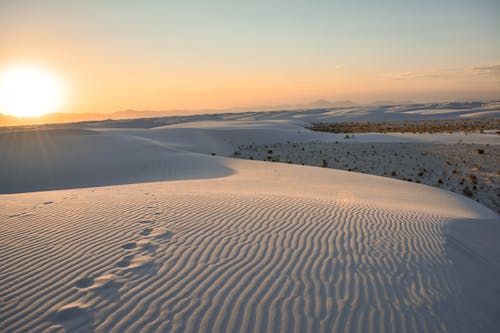 Scenic View of a Desert during Sunset