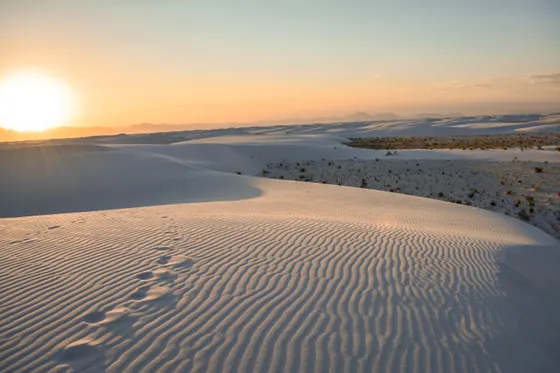 Wind ripples patterning the white gypsum sand