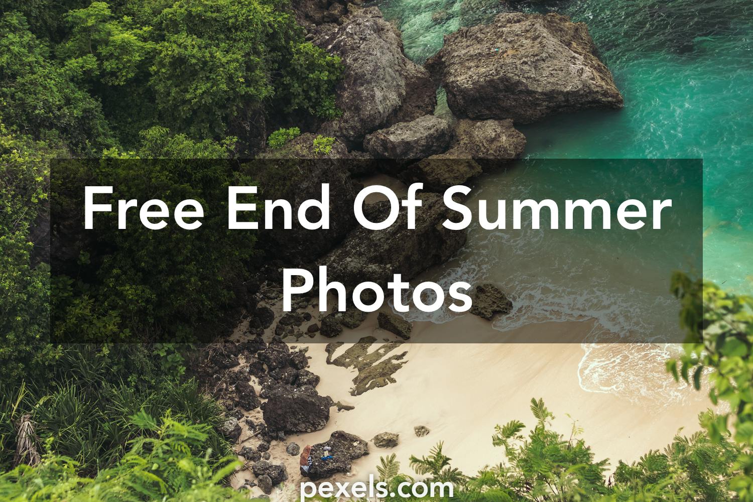 1000+ Interesting End Of Summer Photos · Pexels · Free Stock Photos