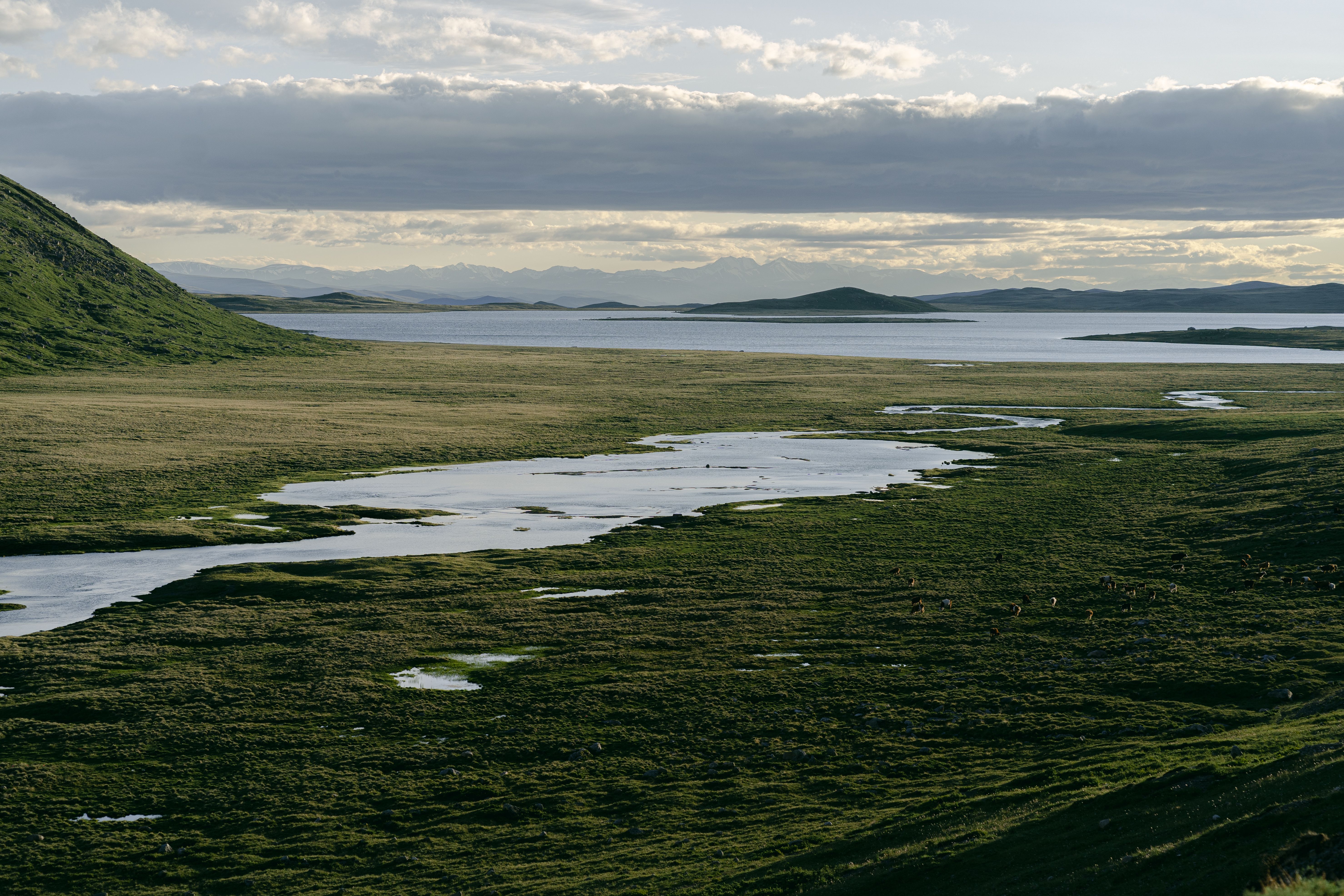 A serene landscape featuring a lush green field and a tranquil lake under a cloudy sky.