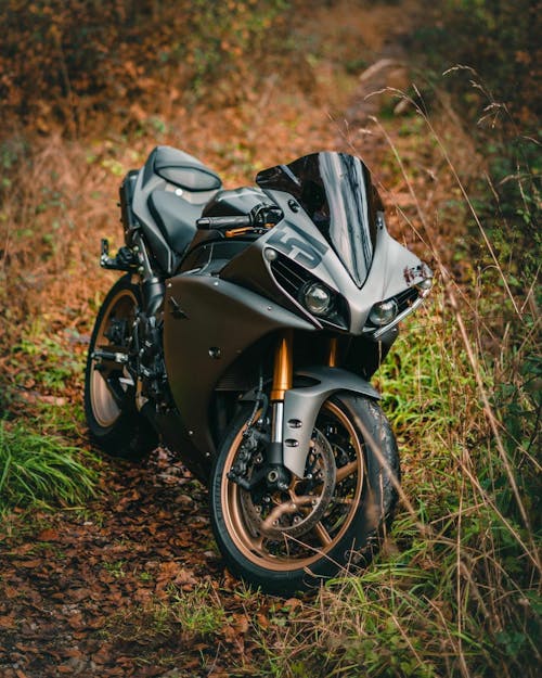 Ingyenes stockfotó barna fű, jármű, motorbicikli témában Stockfotó