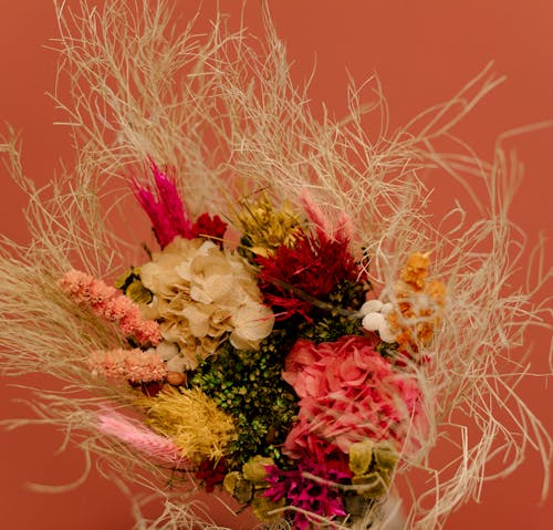 bitki örtüsü, buket, Çiçek açmak içeren Ücretsiz stok fotoğraf