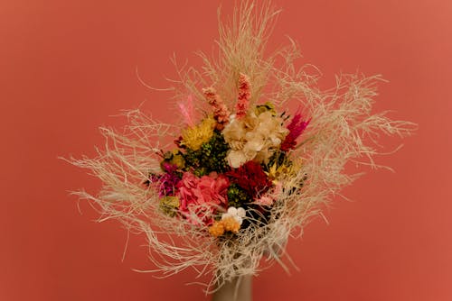 Photos gratuites de bouquet, composition florale, flore