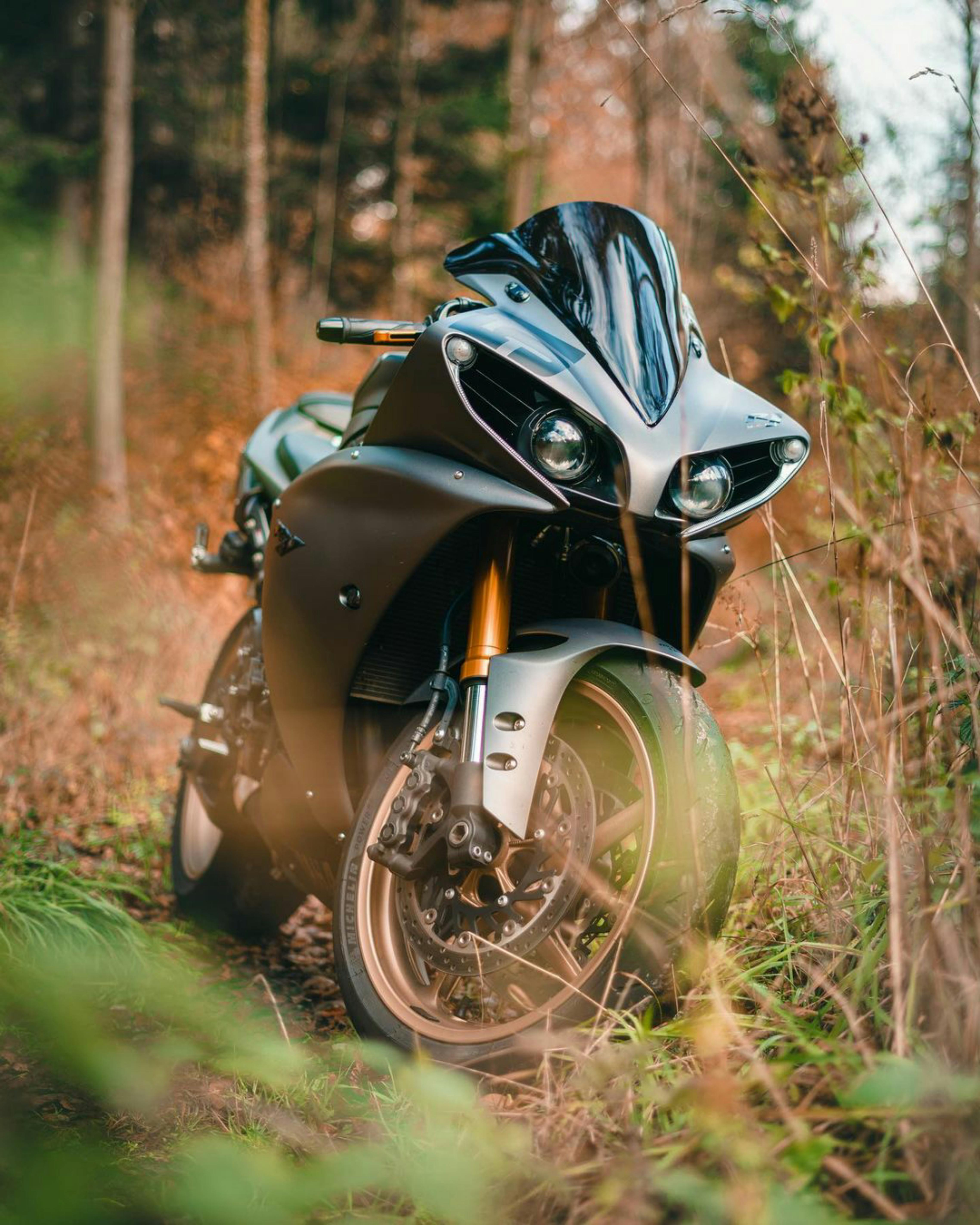 Free Sleek motorcycle parked amidst tall grass in a forest landscape. Stock Photo