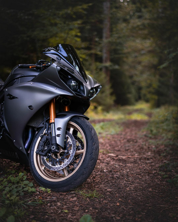 Motorcycle In Nature A Motorcycle in a Forest · Free Stock Photo