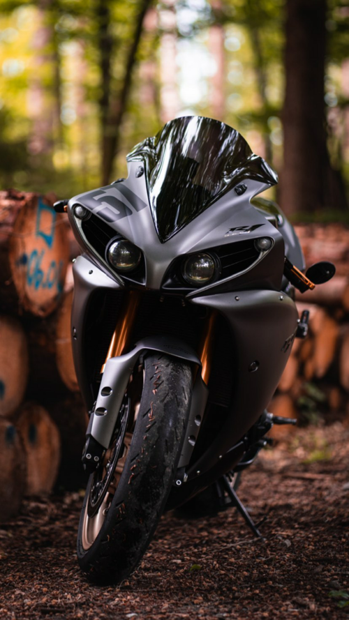 Free A sleek sports motorcycle parked in a serene forest setting, highlighting its modern design and powerful build. Stock Photo
