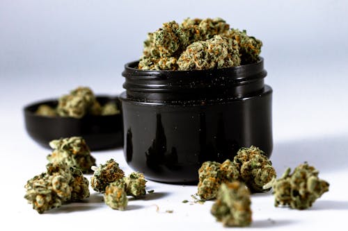 Free A  Black Round Container Filled with Green Kush
 Stock Photo